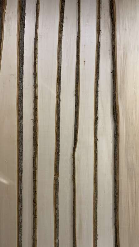 Слэб из Липы, класс Экстра, сорт 0, ширина (150-300) до 3-х метров